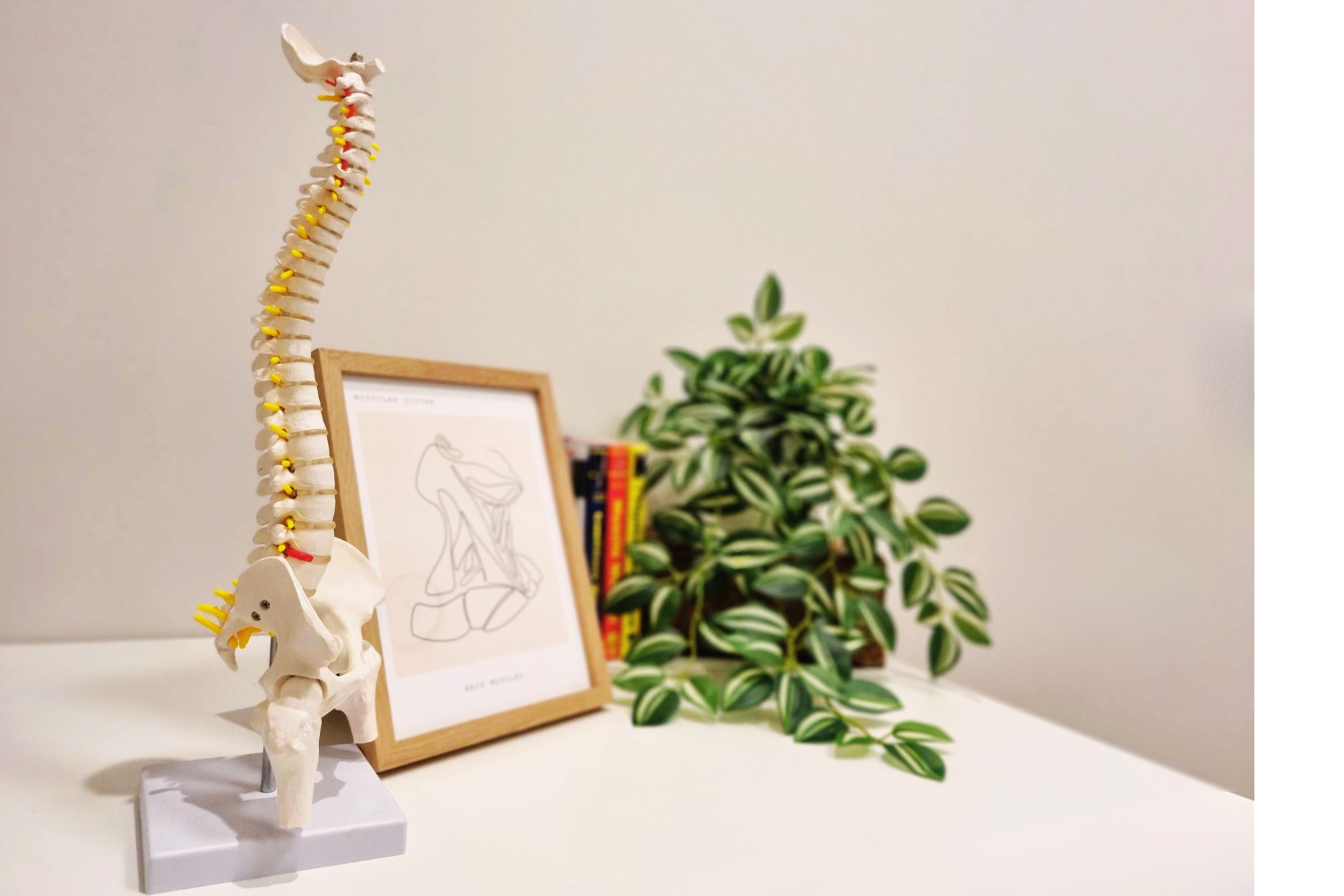 Blogandgoogleupdatephotos281029