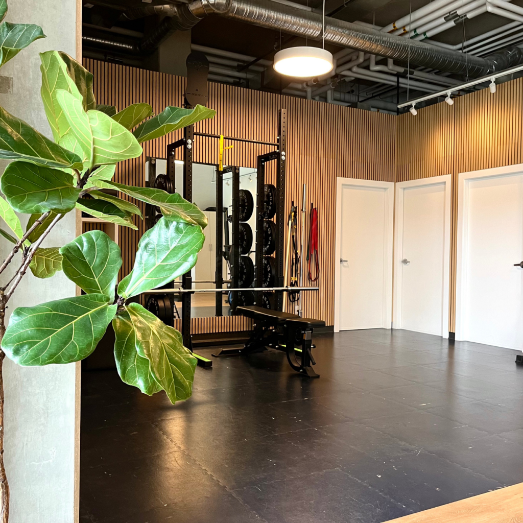 Gym Plants 1024x1024