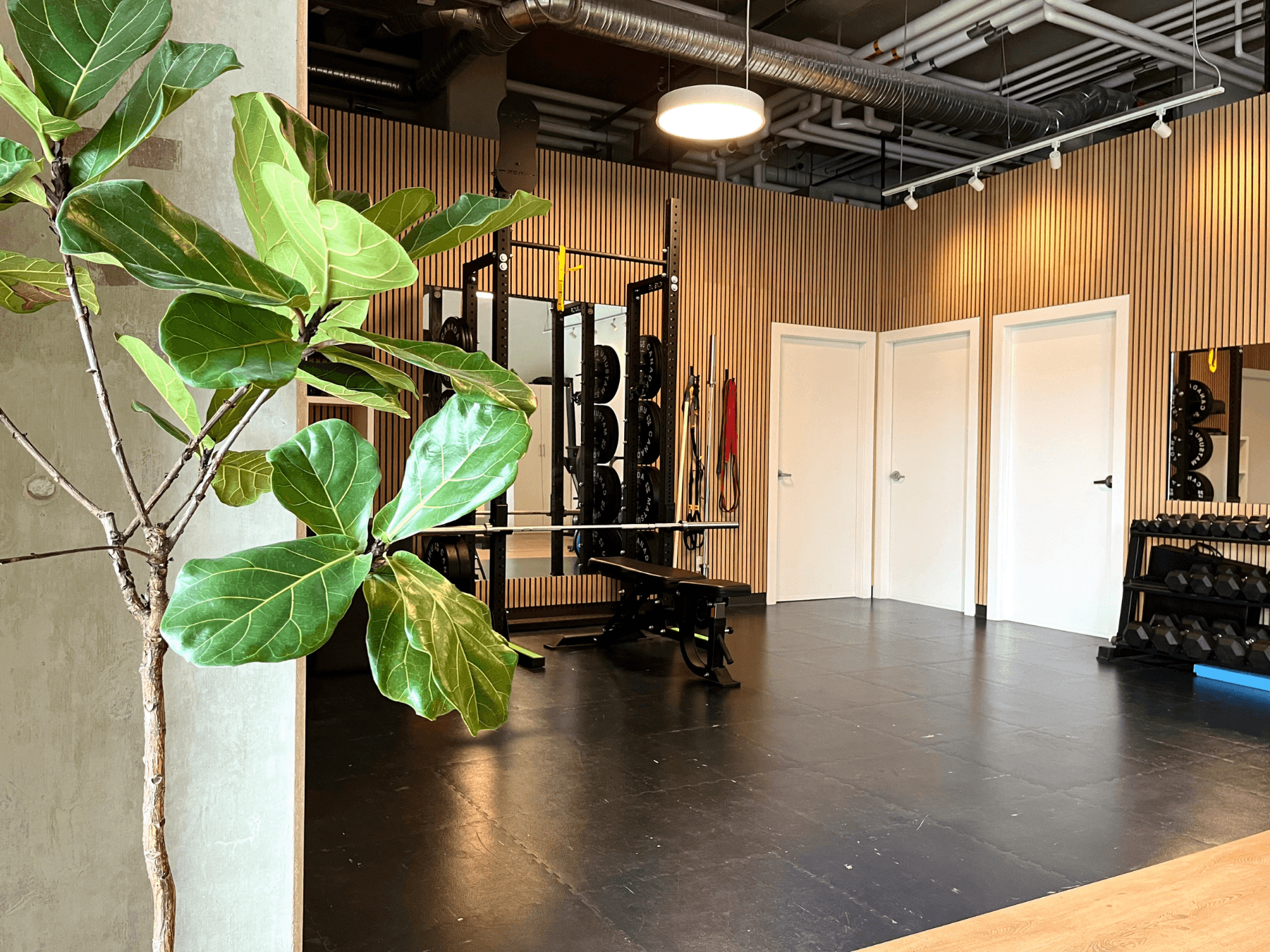 Pursuit Physiotherapy Victoria